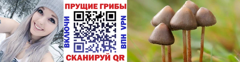 Галлюциногенные грибы MAGIC MUSHROOMS  Купить закладки  Янаул 